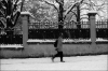neige03~0.jpg