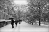 neige04~0.jpg