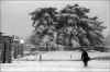 neige11.jpg