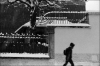 neige13.jpg