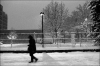 neige15.jpg