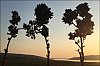 paysage4.jpg