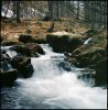 torrent.jpg