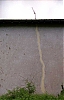 AntenneEclairW.jpg