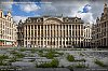 BXL-W.jpg
