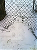 DSC00003.jpg