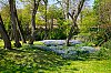 DSC00047W.jpg