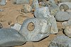 DSC00082W.jpg