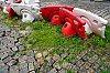 DSC00099W.jpg