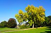 DSC00140W.jpg
