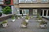 DSC00252W.jpg
