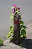 DSC00276Prt-.jpg
