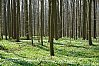 DSC00284W.jpg