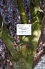 DSC00325W~0.jpg