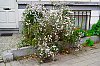 DSC00332WPrt.jpg
