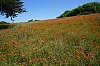 DSC00351W.jpg