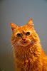 DSC00359Prt.jpg