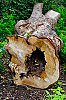 DSC00388W.jpg