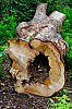 DSC00388W~0.jpg