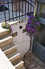 DSC00417W.jpg