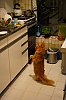 DSC00429Prt.jpg
