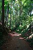 DSC00448Prt.jpg