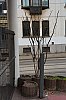 DSC00497W.jpg
