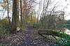 DSC00515Prt.jpg