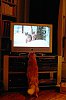 DSC00518Prt.jpg