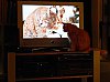DSC00520CdrPrt.jpg