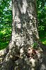 DSC00578W~6.jpg