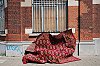 DSC00656CdrW.jpg