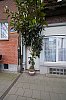 DSC01477Prt.jpg
