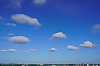 DSC01694wP.jpg
