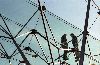 Flagey2W.gif