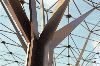 Flagey4roseW.gif