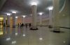 GalerieHortaDansW1.jpg