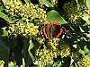 IMG_0462W~0.jpg