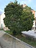 IMG_0474W.jpg