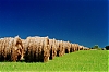 Meules-600.jpg