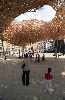 PrtQuinzeToisonDor2.gif