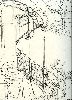 horta001.gif