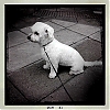angel_01-03.jpg