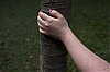 dimanche_10-03.jpg