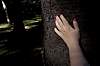 dimanche_10-03b.jpg