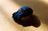 lundi7.gif