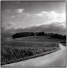countryroad.jpg