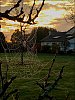 1120200004~0.jpg