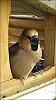 20200407002.jpg
