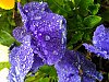 20200503002.jpg